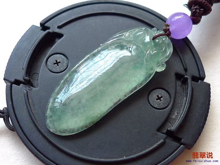 (11).jpg