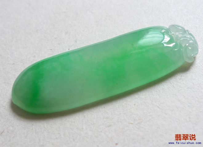 5560.jpg