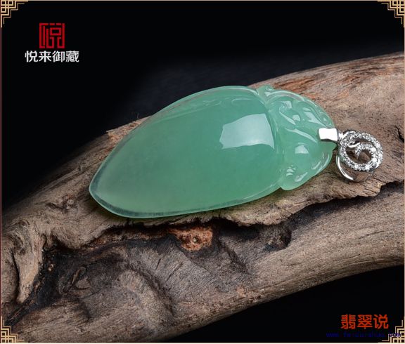 图片6.jpg