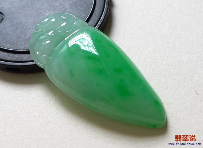 486.jpg