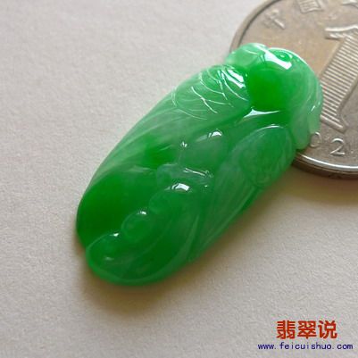6_调整大小.jpg