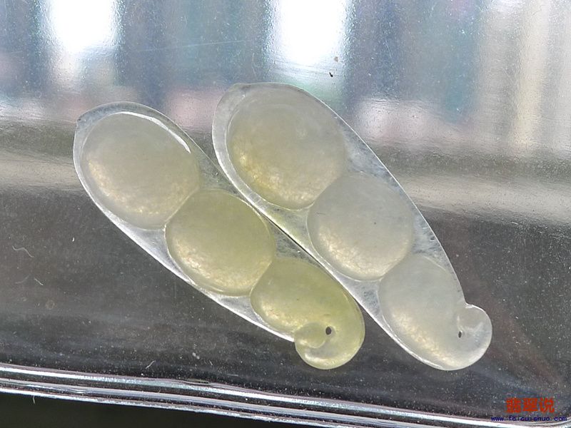 10.JPG