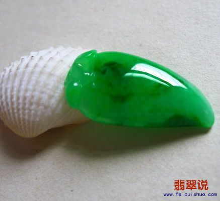 6_调整大小.jpg