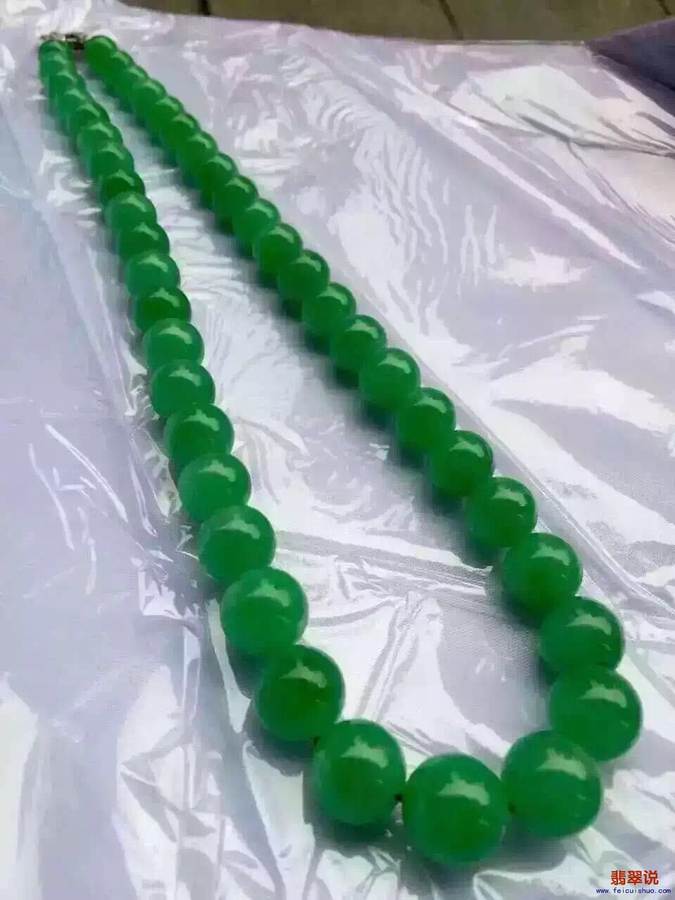 495875314455266397.jpg