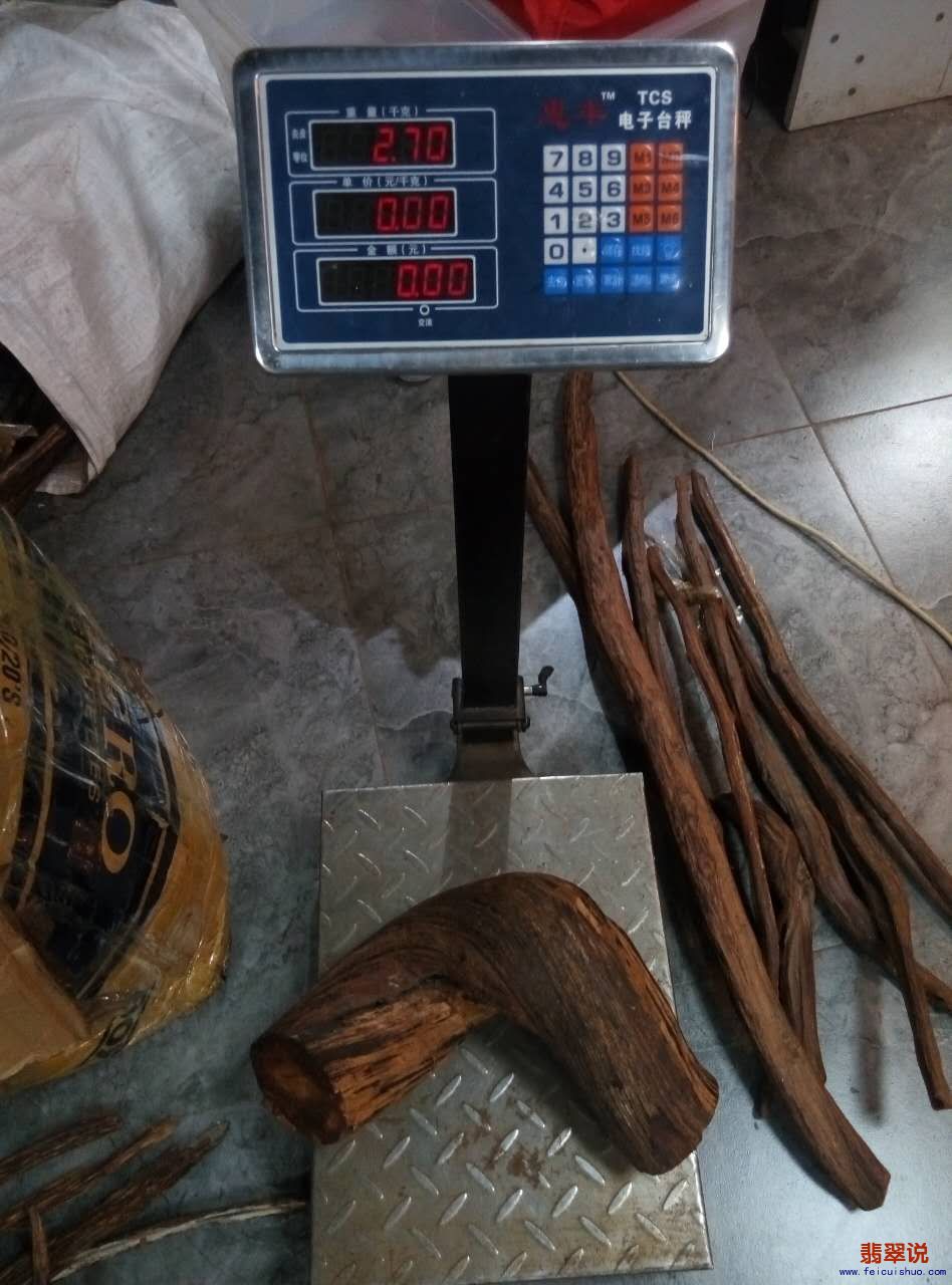 477544665815690731.jpg