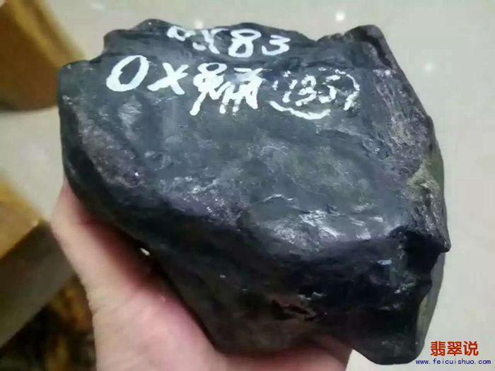 OX83 (8).jpg