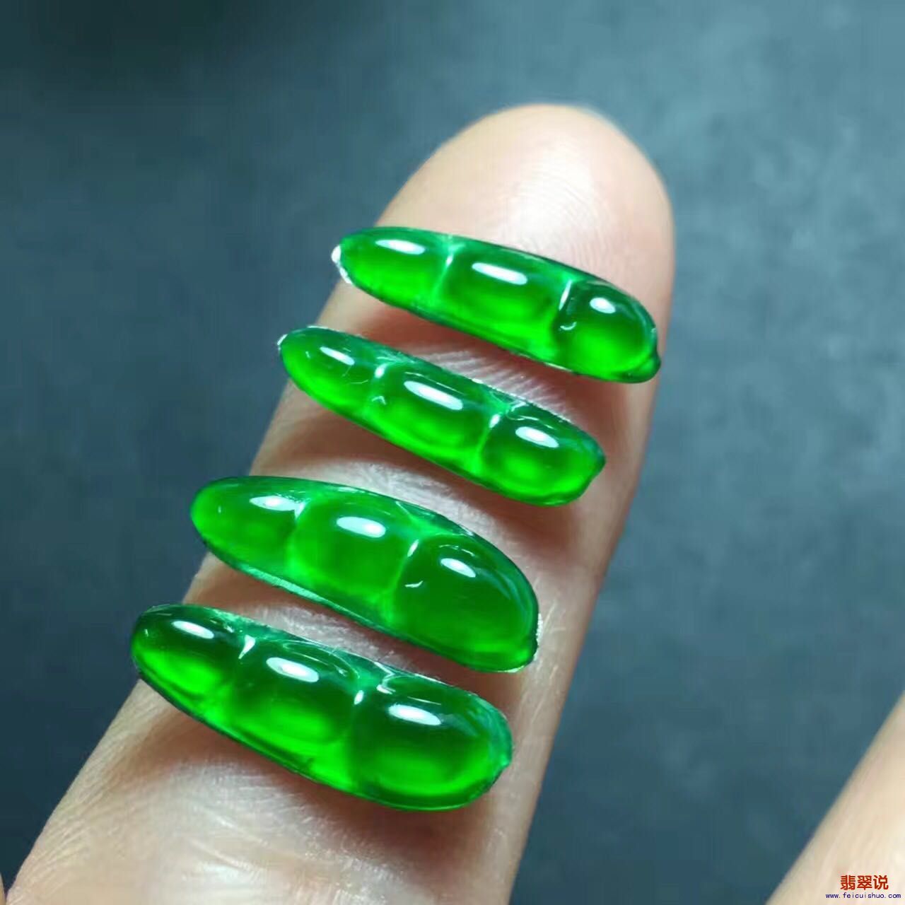 117276842202230896.jpg