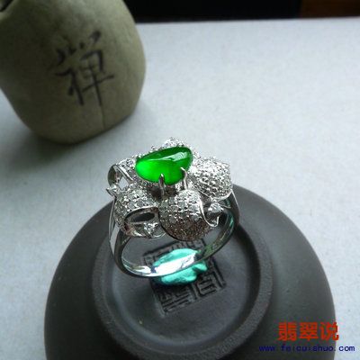 复件 P2490648.JPG