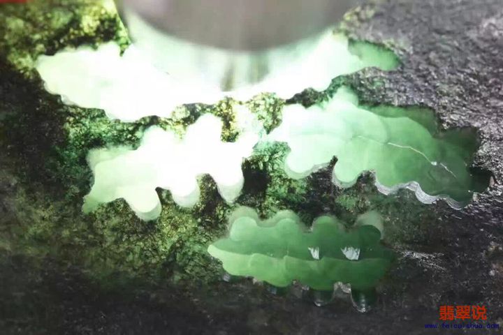 5c56f2c85e46be74.jpg
