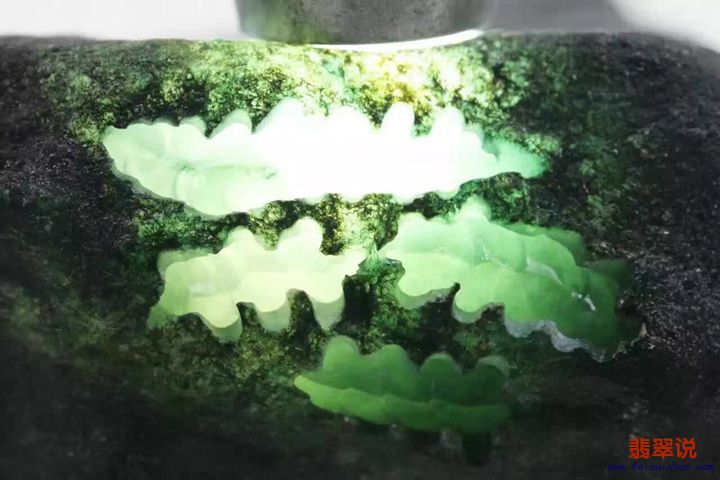 8dc72adeffa6a92f.jpg