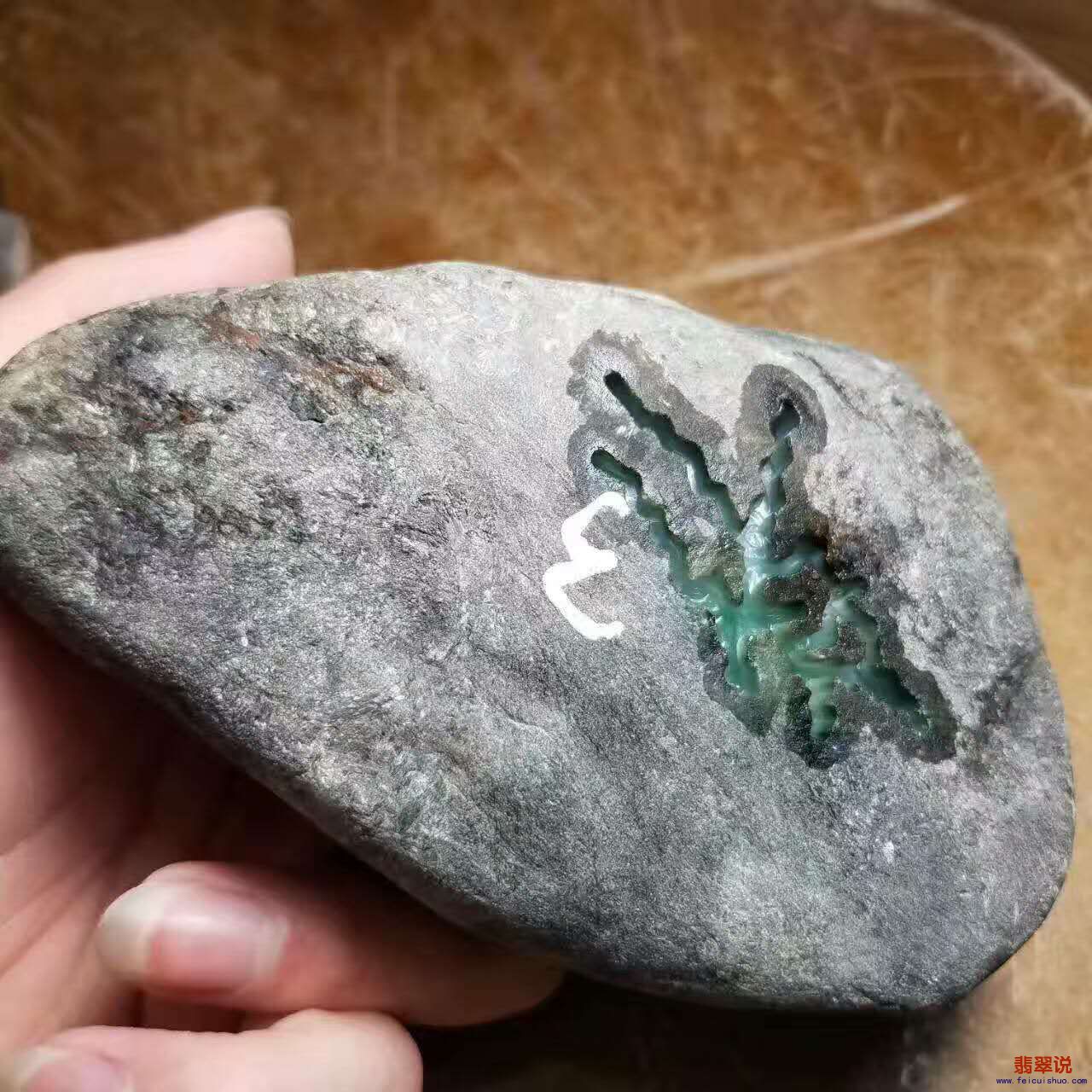 微信图片_20170526120525.jpg
