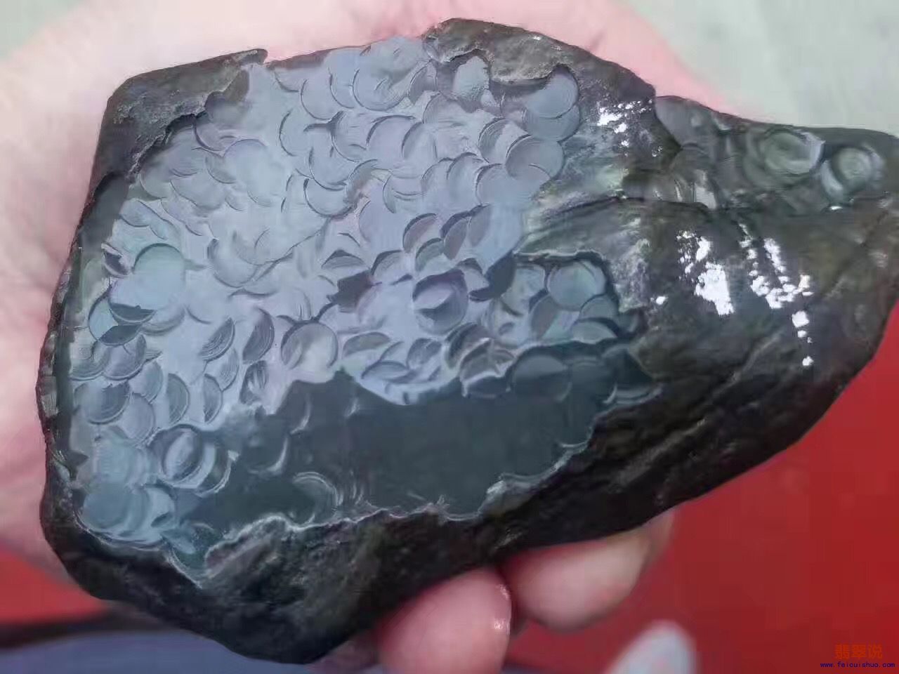 479986450412085225.jpg