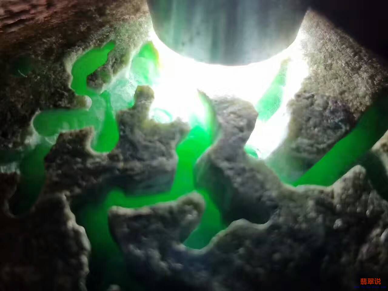 445611911878395026.jpg