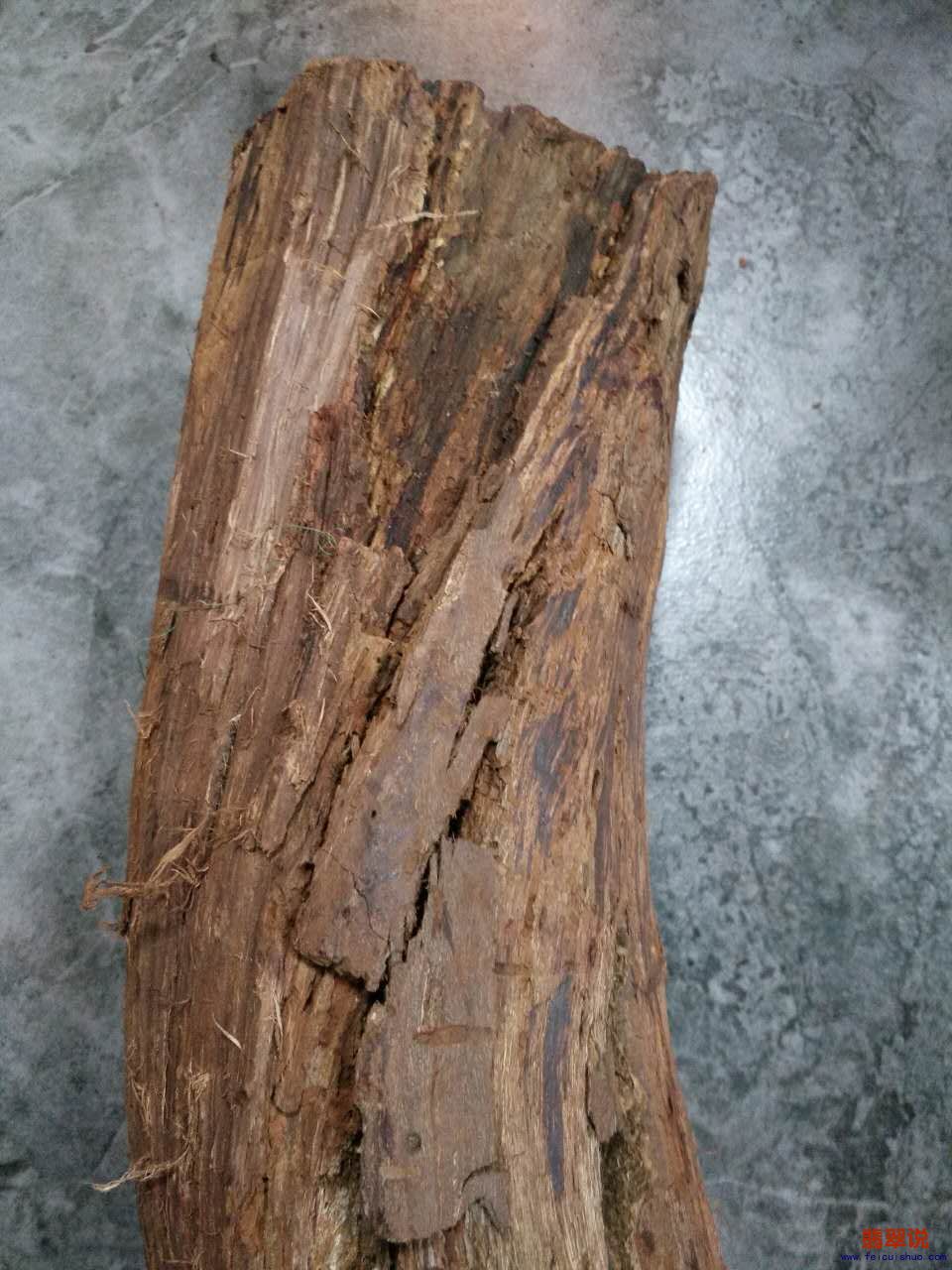 微信图片_20170707164939.jpg