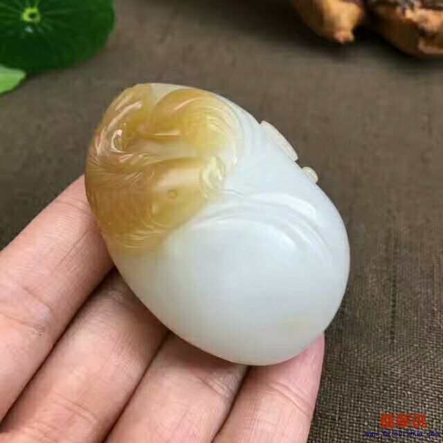 QQ图片20170724085613.jpg