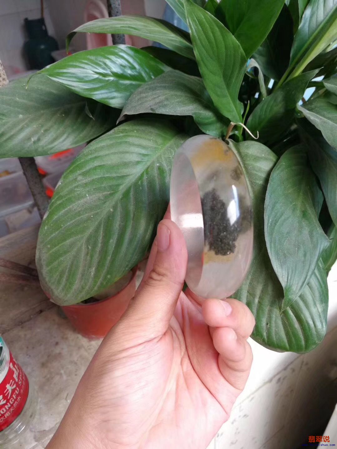 普莉提-极品金丝玉 新品上新